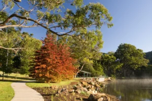 Bacchus Partners. Your local Building Certifier in Mittagong