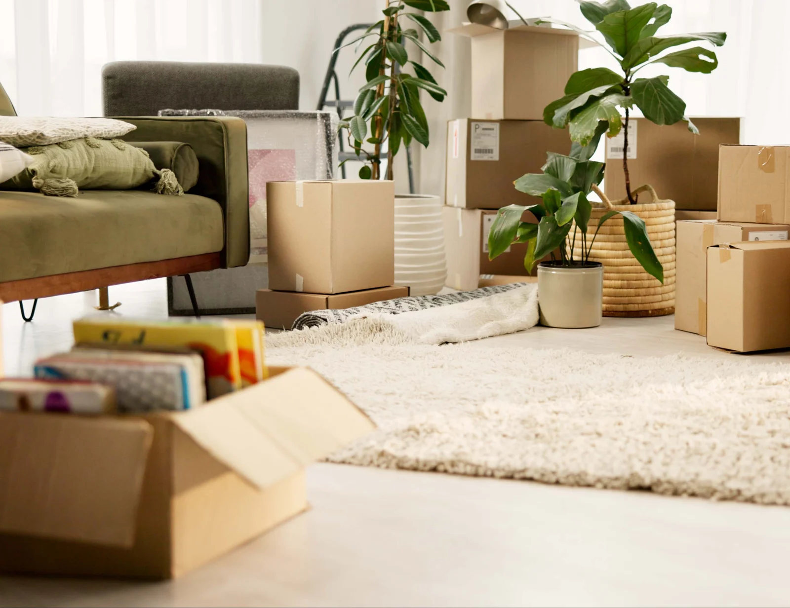Occupation Certificate by Bacchus Partners Shoalhaven